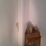 Mulher é presa suspeita de trancar filha de 6 anos em quarto para ir em festa