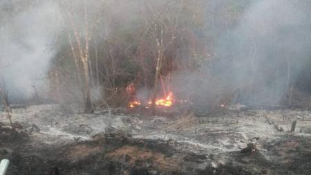 O acidente acometeu cerca de seis hectares da propriedade