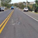 Idosa de 78 anos morre após ser atropelada na MG-459
