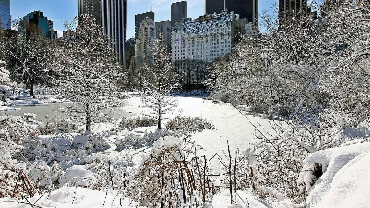 NY registra maior acúmulo de neve em um inverno excepcionalmente ameno