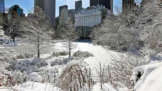A neve em Nova York é comum durante o inverno