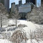 NY registra maior acúmulo de neve em um inverno excepcionalmente ameno