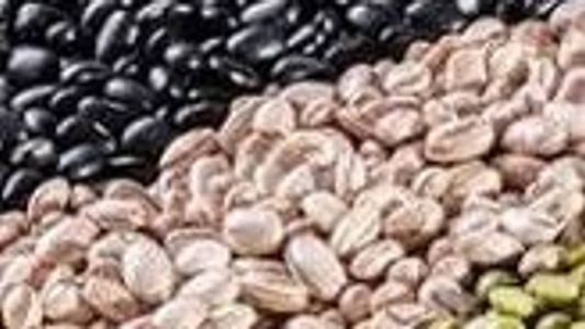 De acordo com o anúncio, preço mínimo do feijão carioca é de 208,92, e o do feijão preto, 210,30