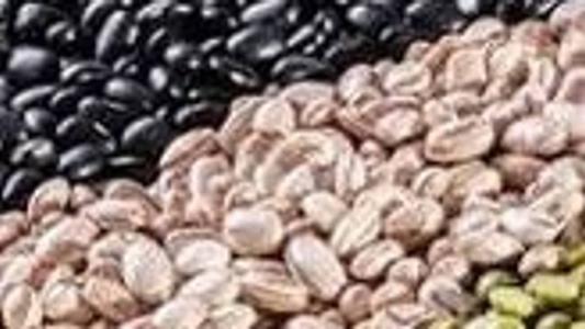 De acordo com o anúncio, preço mínimo do feijão carioca é de 208,92, e o do feijão preto, 210,30