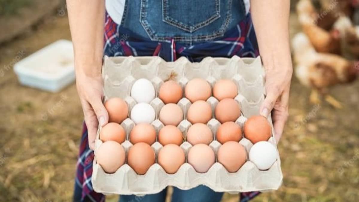 Ovo mais barato após cinco meses só subindo 