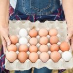 Ovo mais barato após cinco meses só subindo 