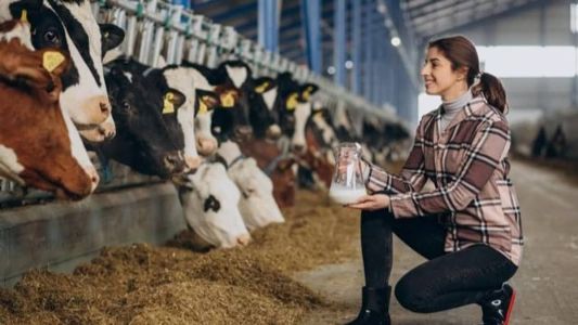 O leite, que chegou a custar R$ 9 a caixinha, caiu para R$ 4,50, ainda caro para o consumidor brasileiro