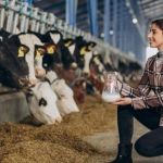 Leite ameaça inflacionar o mercado