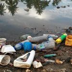 A falta de preservação ambiental e suas consequências