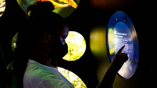 A taxa de analfabetismo é também bem maior entre as pessoas com deficiência: 19,5% contra 4,1% das pessoas sem deficiência