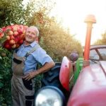 Plano Safra: empresários e agricultores familiares separados