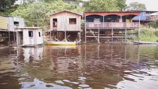 Os casos foram registrados nas cidades de Itacoatiara (36), Manaus (7), Parintins (2) e Nova Olinda do Norte (1)