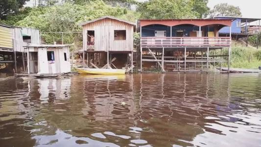 Os casos foram registrados nas cidades de Itacoatiara (36), Manaus (7), Parintins (2) e Nova Olinda do Norte (1)