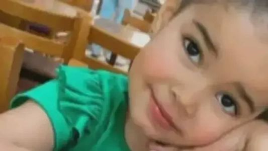 Heloísa dos Santos Silva, de 3 anos de idade, morreu neste sábado (16)