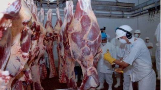 Mesmo com a carne cara, a arroba do boi brasileiro é a mais barata do mundo