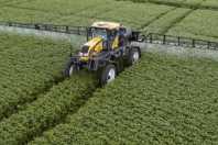 PIB cresce 1,1% no 1º trimestre puxado pelo agro e pelo consumo das famílias