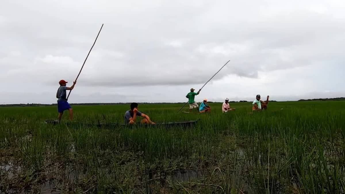 Brasil tem mais de 1,3 milhão de quilombolas, revela retrato inédito do IBGE