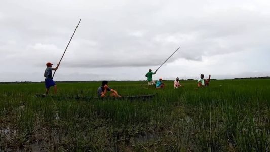 O resultado do Censo 2022, publicado nesta quinta-feira (27), aponta que a população quilombola residente no Brasil é de 1.327.802 pessoas, o que corresponde a 0,65% da população