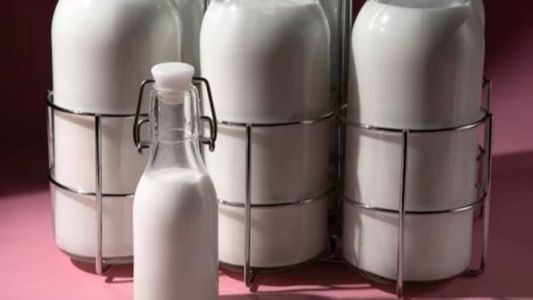 Mercado de carbono e leite são pautas da semana
