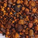 Picanha ou pedra de fel? Qual vale mais?