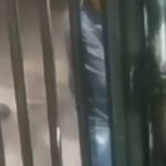 Entregador de aplicativo é baleado ao deixar encomenda na porta de prédio no Rio de Janeiro