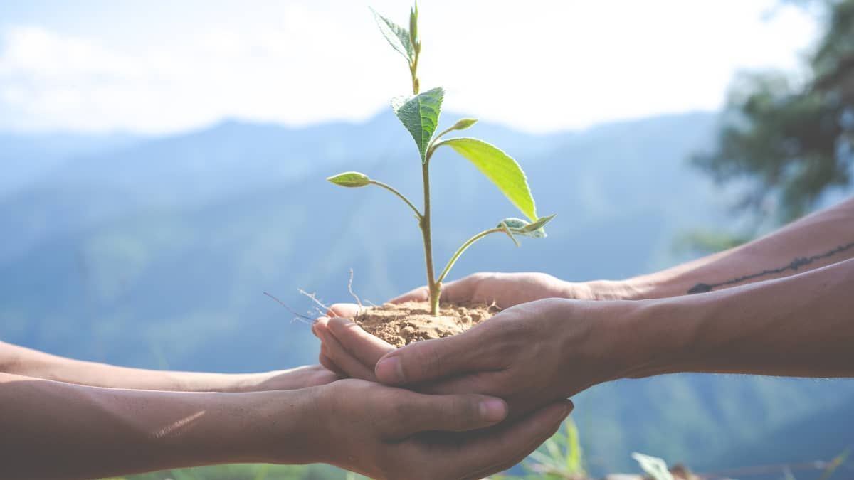 Emergência climática é uma preocupação de todos