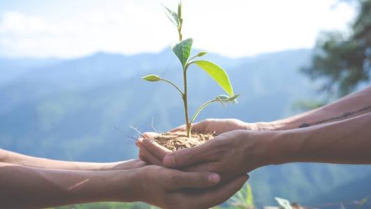 Pela perspectiva das mudanças climáticas, é necessário que haja conscientização e ação, tanto dos líderes, quanto dos colaboradores