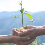 Emergência climática é uma preocupação de todos