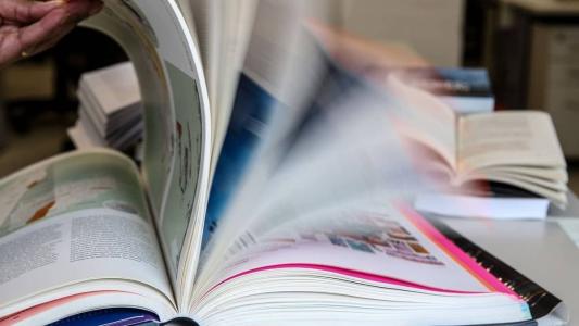 A expectativa é receber um público recorde, estimado em 600 mil pessoas