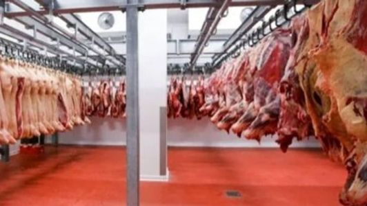 Preços do boi estacionados