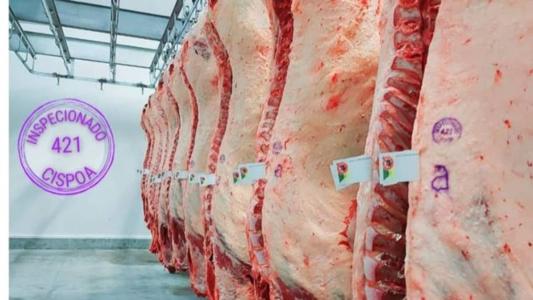 Produtores se preparam para entregar gado aos frigoríficos até o final de outubro