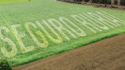 A falta de recursos no Plano Safra para o seguro rural deixa muita incerteza no campo com as reações climáticas