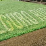 Falta de grana trava seguro rural. Alimentos subindo!