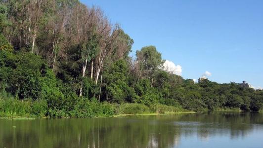 A ONU recomenda que uma cidade tenha pelo menos 12 metros quadrados de área verde por habitante, para uma melhoria na qualidade de vida