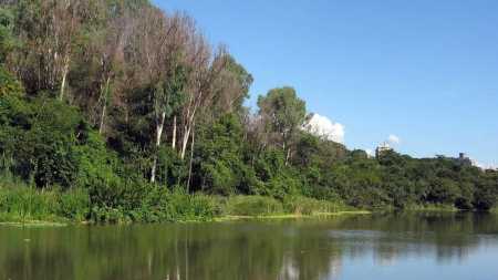 A ONU recomenda que uma cidade tenha pelo menos 12 metros quadrados de área verde por habitante, para uma melhoria na qualidade de vida