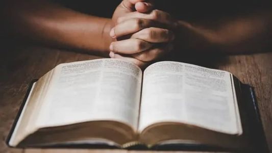 São oito denúncias, mas a investigação apura outros casos