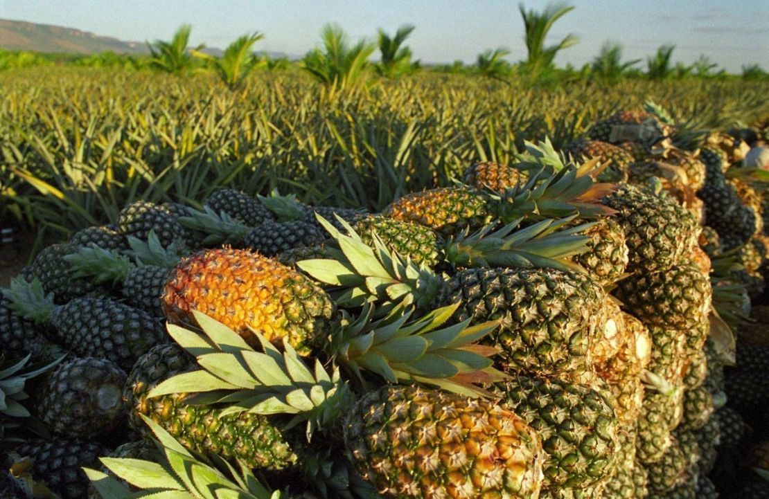 Circuito Frutificaminas mobilizou 1,5 mil participantes em eventos ao longo de 2025