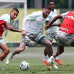Abel conta com reforços da base em treino do Palmeiras