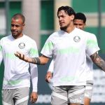 Abel Ferreira pode ter um desfalque no Palmeiras contra Cruzeiro