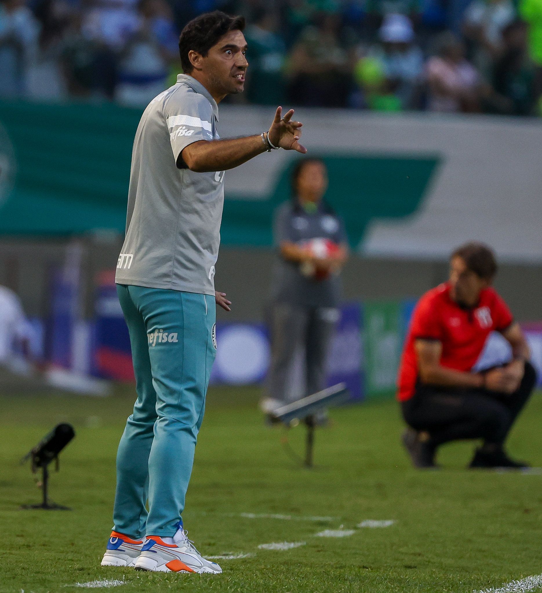 Arena Barueri x Allianz: Abel compara estádios onde Palmeiras joga