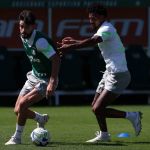 Abel foca na parte física do Palmeiras em 'intertemporada'