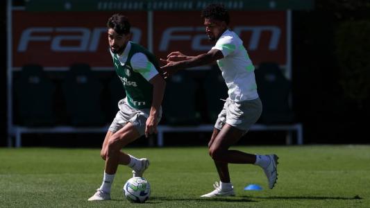 Abel foca na parte física do Palmeiras em 'intertemporada'