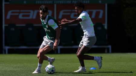 Abel foca na parte física do Palmeiras em 'intertemporada'
