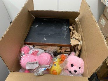 Colmeia com 400 abelhas estava em caixa com brinquedos de pelúcia