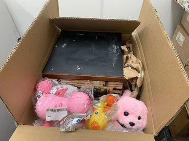 Colmeia com 400 abelhas estava em caixa com brinquedos de pelúcia