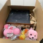 Ibama impede que colmeia com 400 abelhas sem ferrão seja enviada para Hong Kong, na China