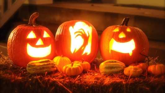 Abóboras são símbolos do Halloween nos EUA e em outros países