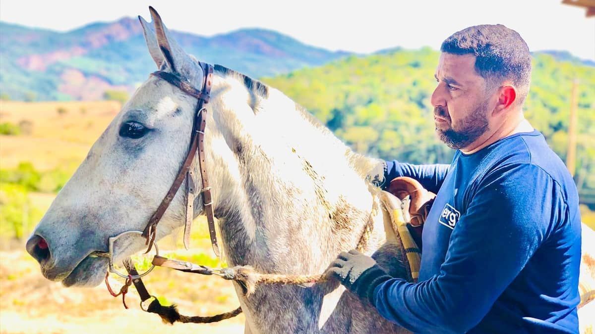 Abrigo da Vale adota técnicas inovadoras para tratar e reabilitar cavalos