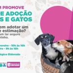 Feira de adoção de cães e gatos inicia nesta quarta (8) em Contagem; saiba como adotar