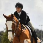 Adolescente morre ao ser esmagada por cavalo em competição de hipismo